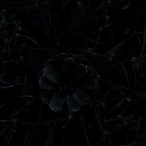 Meet your Posher, Felix